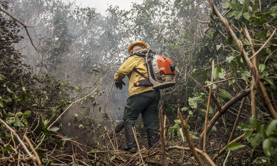 Incêndios no Amazonas resultam de ação humana, diz ministro
