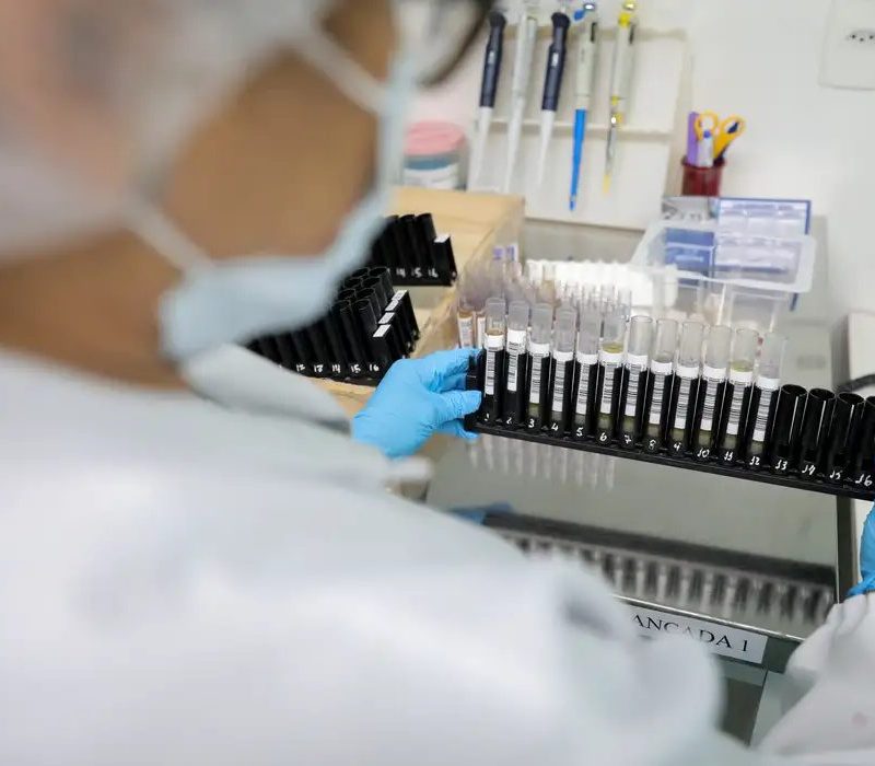 Anvisa aprova testes em humanos de vacina brasileira contra malária
