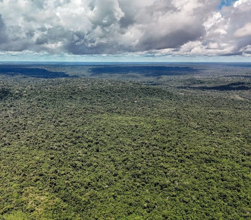 Amazônia atinge menor marca de desmatamento em quatro décadas