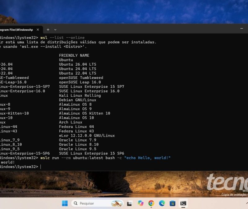 Microsoft libera suporte a contêineres nativos no WSL para o Windows 11