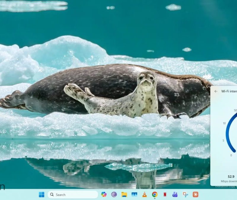 Microsoft prepara medidor de internet real para o Windows 11