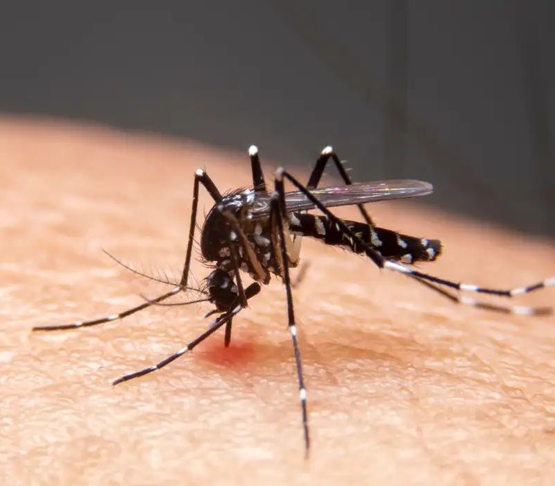 Mudanças climáticas impulsionam avanço de doenças infecciosas no Brasil