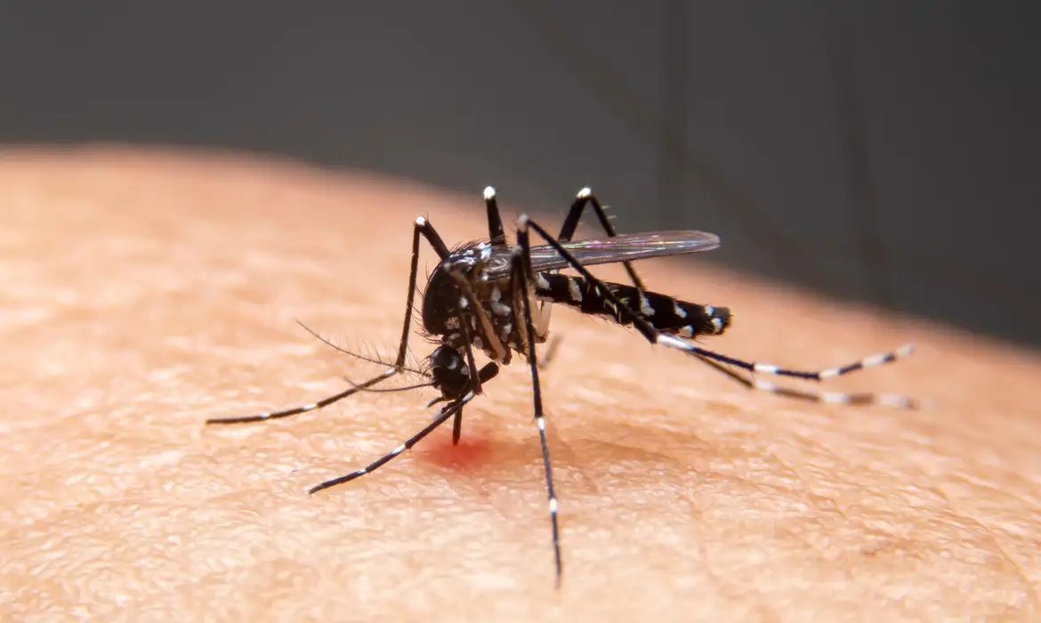 Mudanças climáticas impulsionam avanço de doenças infecciosas no Brasil