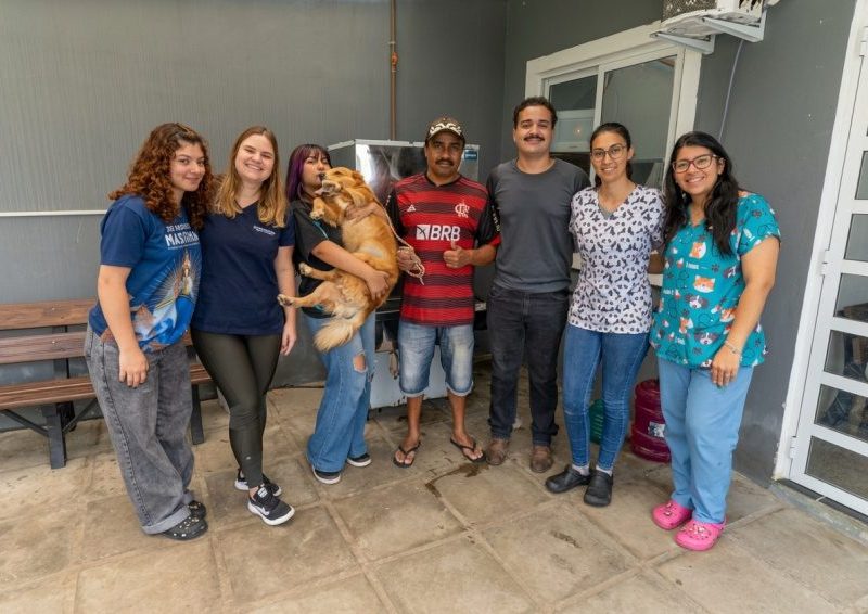 Paranaguá realiza mutirão de vacinação antirrábica para pets