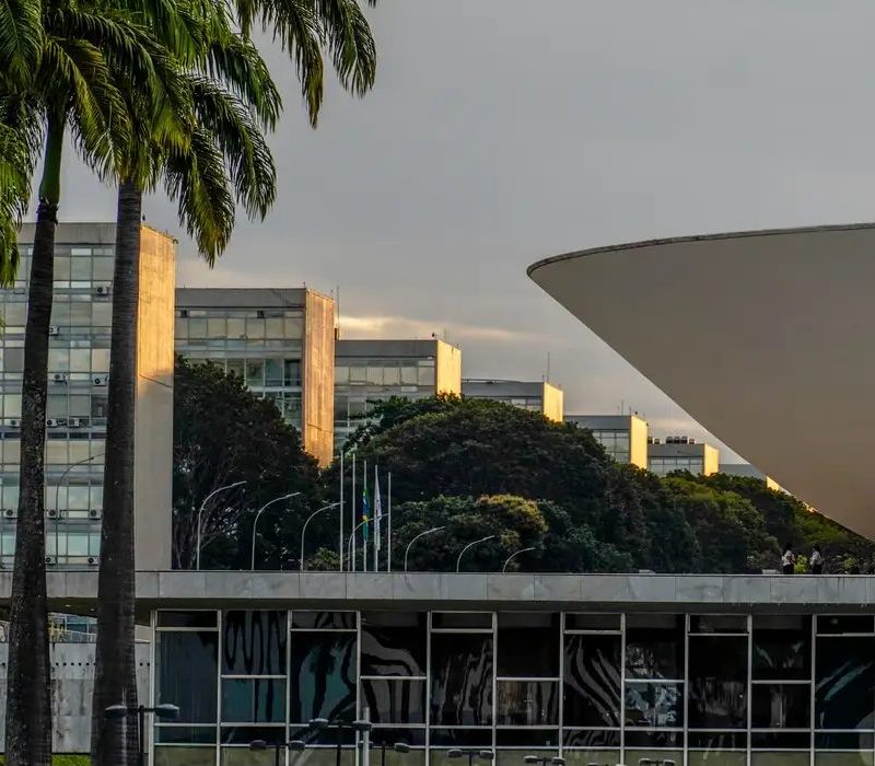 Nikolas Ferreira e Lucas Pavanato foram os deputados mais votados
