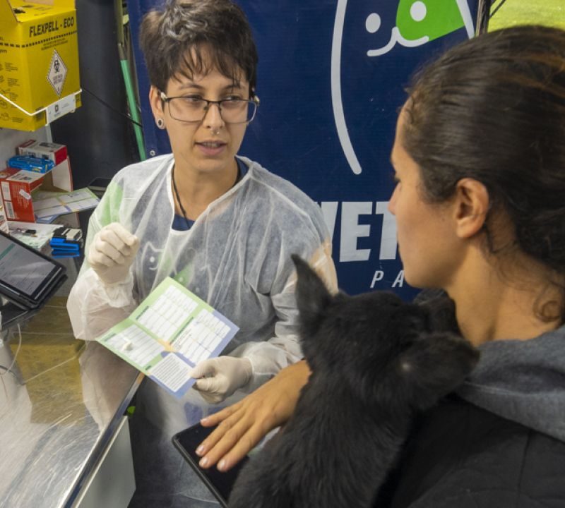 Guaratuba abre cadastro para atendimento veterinário gratuito de cães e gatos