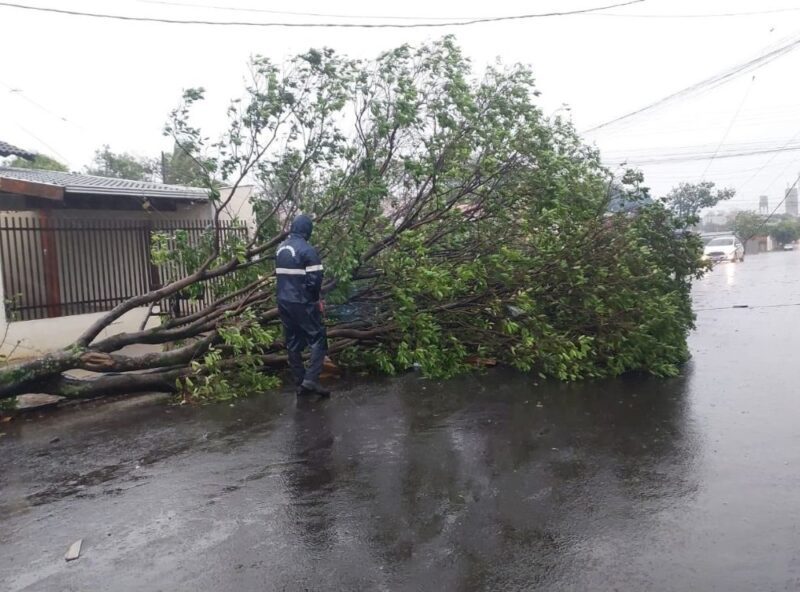 Temporal em Londrina causa 100 ocorrências e deixa 4,9 mil sem luz