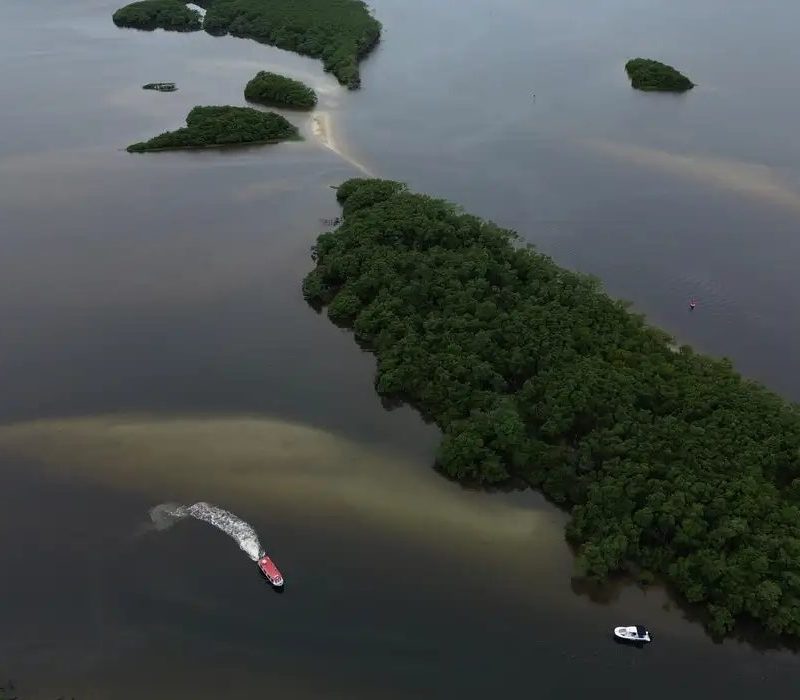 COP17 aponta falhas globais na proteção da biodiversidade mundial