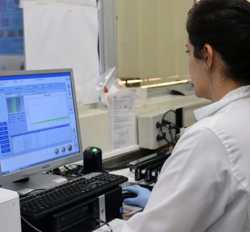 Paraná abre vagas para intercâmbio gratuito no exterior