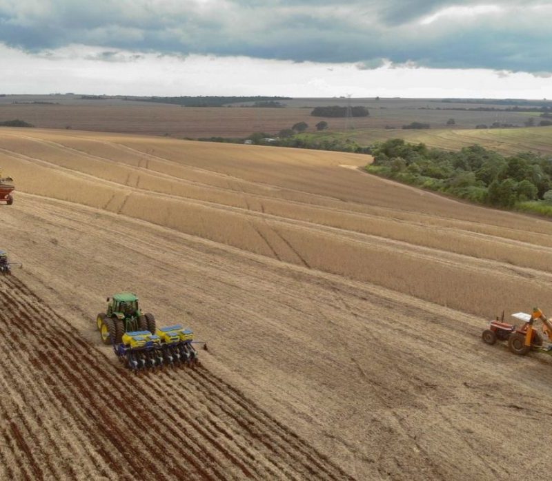 Paraná projeta alta de 4% na colheita de soja para a safra 2026/2027