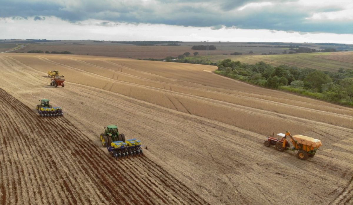 Paraná tem estimativa de colher 4% a mais de soja na safra 2026/2027