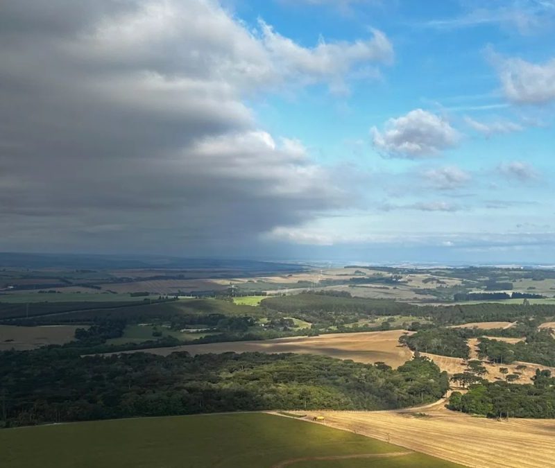Paraná enfrenta instabilidade climática com gangorra térmica