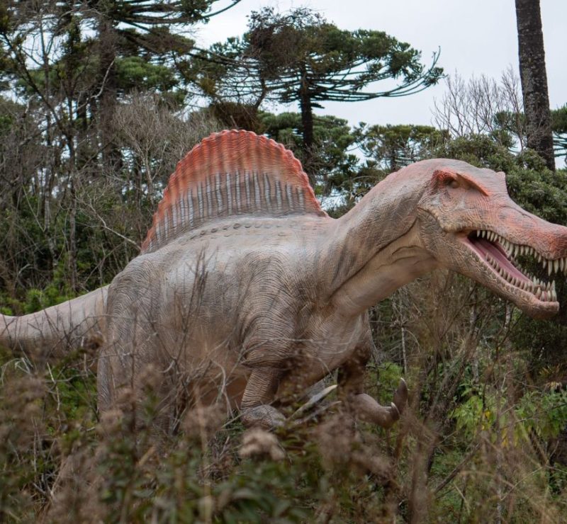 Campos do jordão ganha parque de dinossauros com mais de 50 réplicas