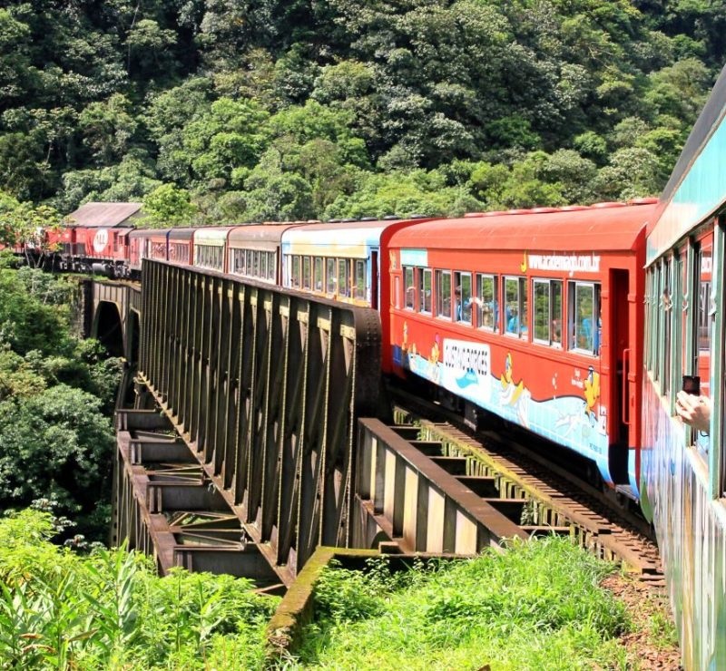Trem de Curitiba a Morretes ganha viagem extra no feriado