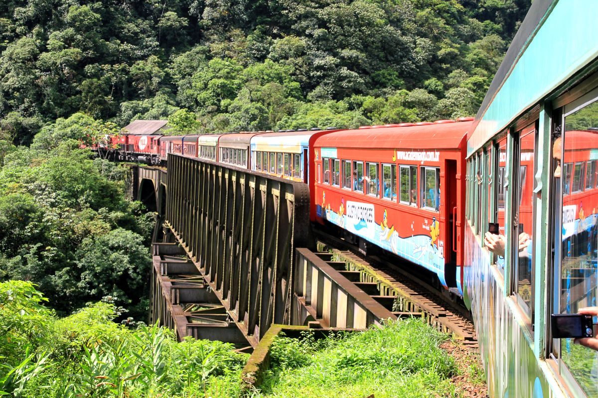 Passeio de trem Curitiba-Morretes pela Serra do Mar terá saída extra no Dia de Finados