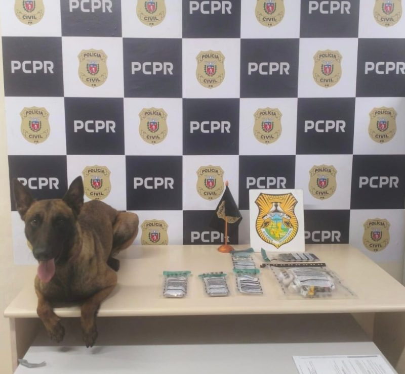Droga apreendida em Ponta Grossa mobiliza polícia nesta quarta