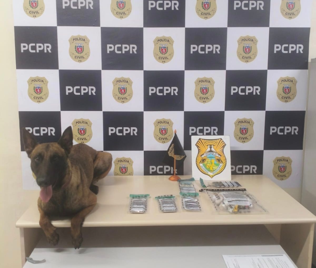 PCPR e GCM apreendem quase meio quilo de crack em Ponta Grossa