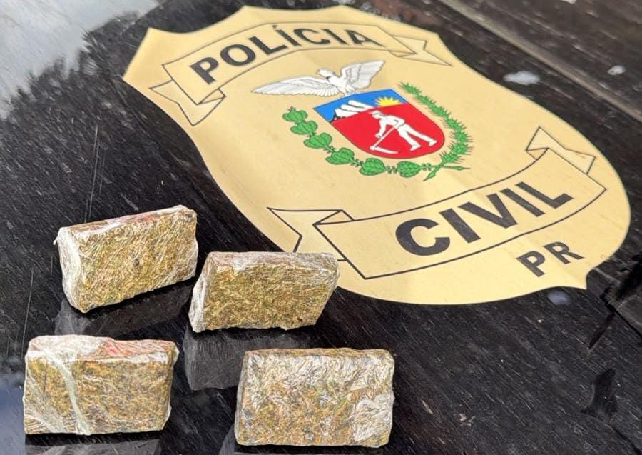 PCPR e PMPR prendem quatro pessoas e apreendem drogas e armas em Bandeirantes