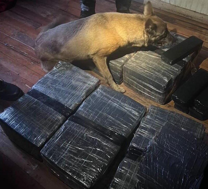 Operação da polícia civil prende oito suspeitos em Cascavel