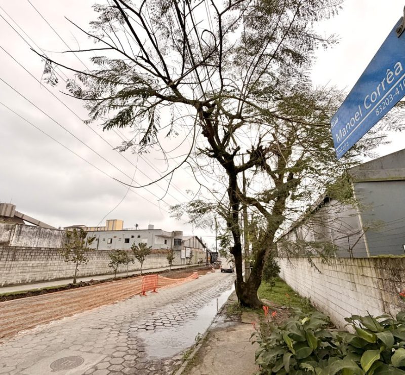 Portos do Paraná inicia nova fase de obras na Rua Manoel Corrêa