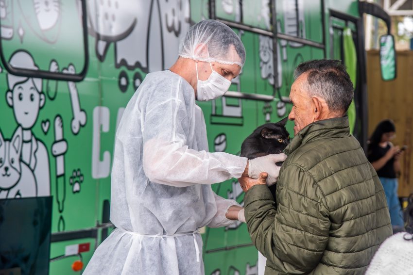 Prefeitura de Paranaguá promove Mutirões de Vacinação Antirrábica para cães e gatos em diversos pontos da cidade