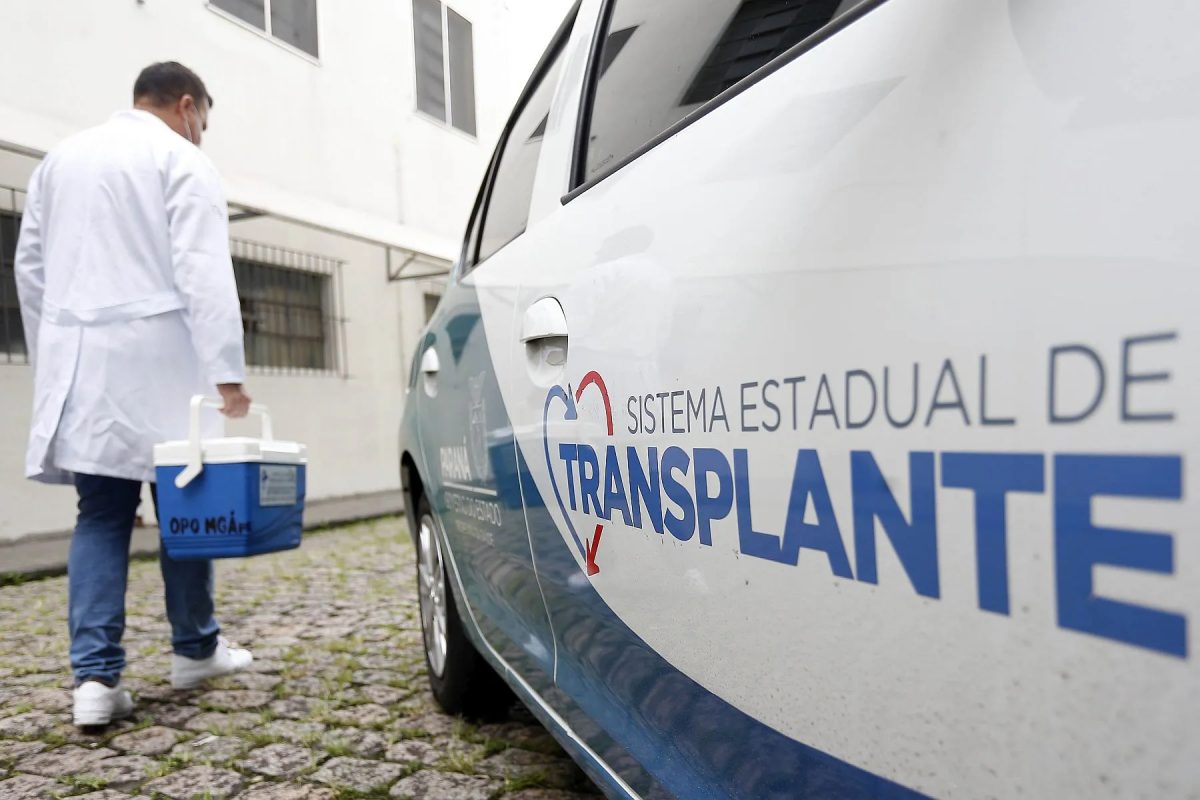 Quem são e onde estão os doadores que fazem do Paraná líder em salvar vidas