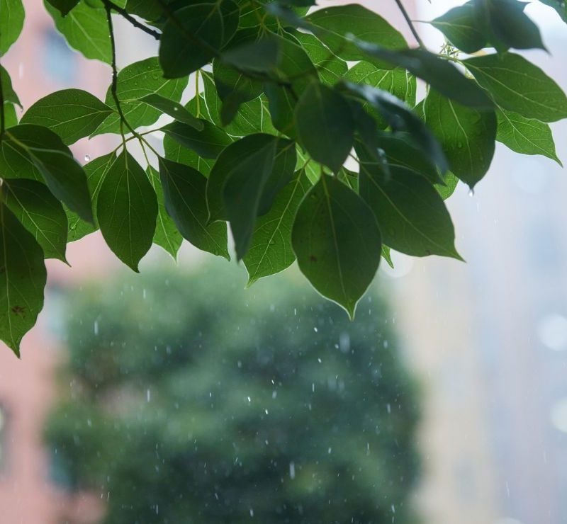 Curitiba terá chuva e ventos fortes no fim de semana de eleição