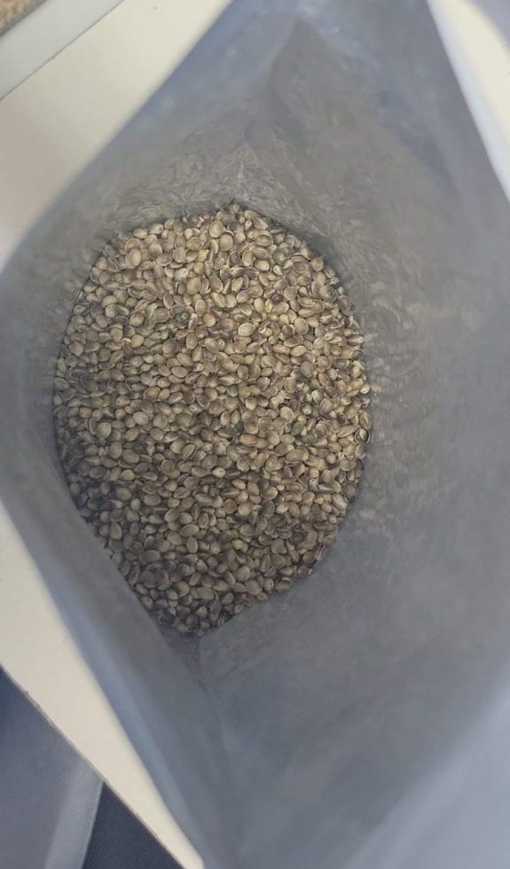 Receita Federal apreende 50 mil sementes de maconha nos Correios