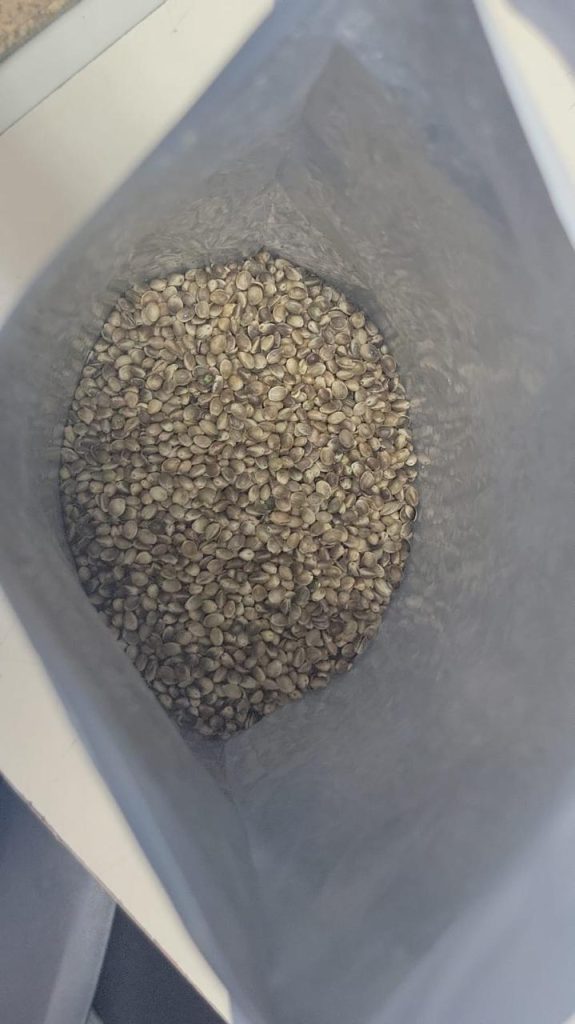 Receita Federal apreende cerca de 50 mil sementes de maconha em encomendas internacionais