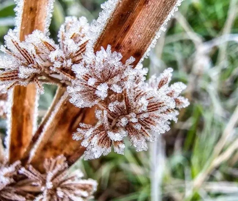 RS registra temperaturas abaixo de zero em plena primavera