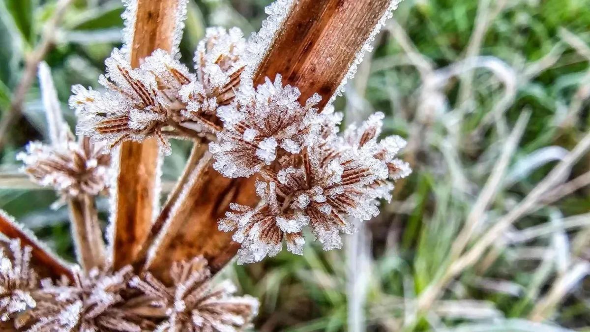 Rio Grande do Sul registra frio abaixo de zero no meio da primavera
