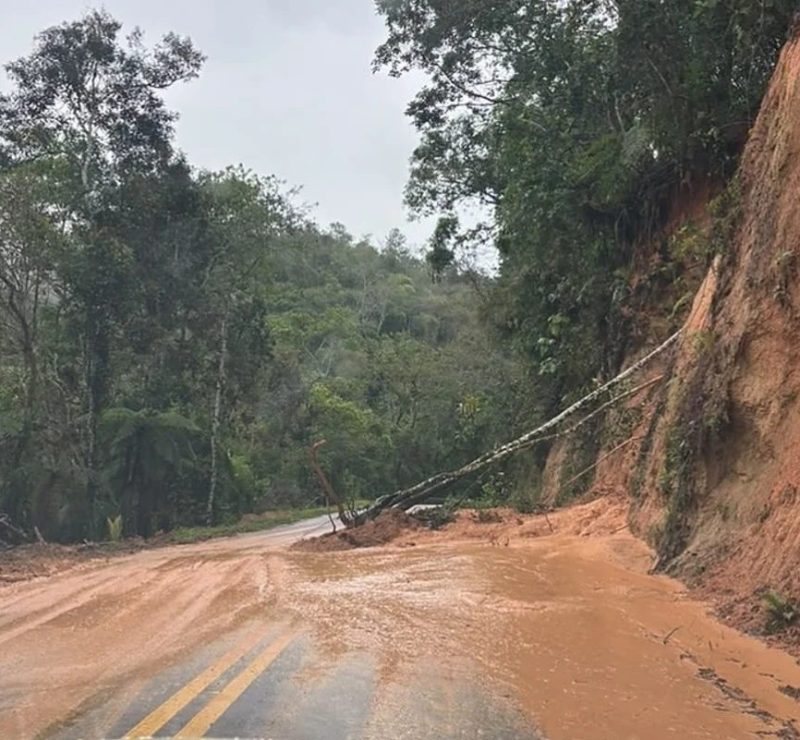 Rodovias do Paraná seguem com interdições após deslizamentos de terra