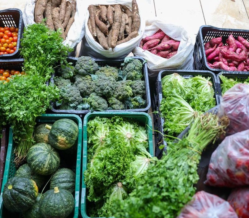 Dia mundial da alimentação destaca união contra a fome no Brasil