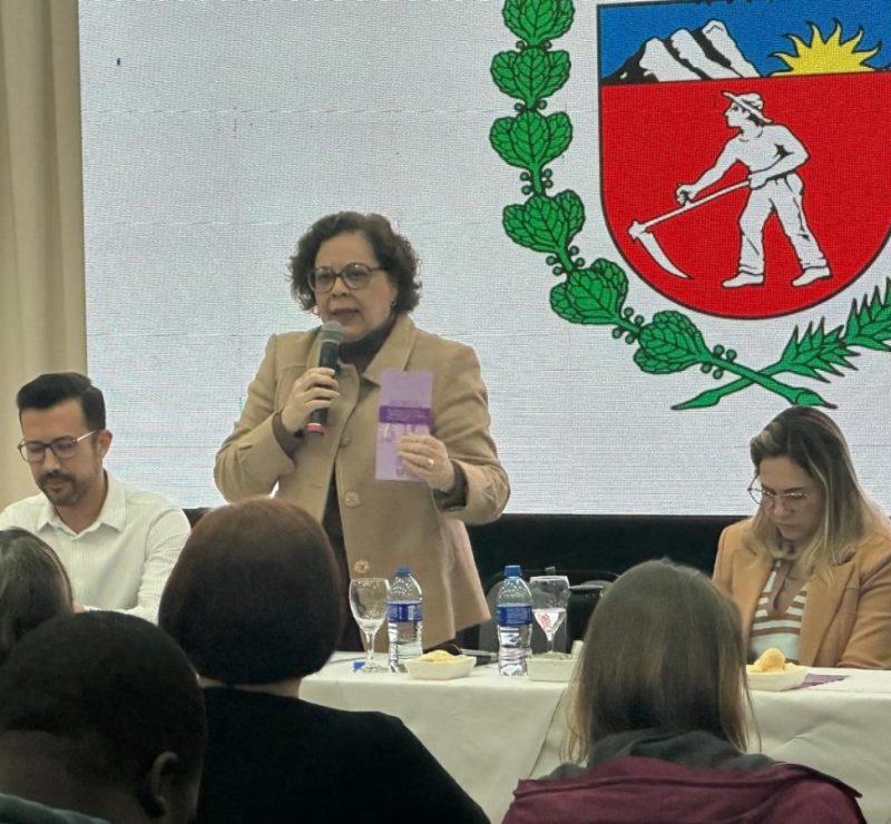 Sesa e Cosems debatem novos rumos para a saúde pública do Paraná