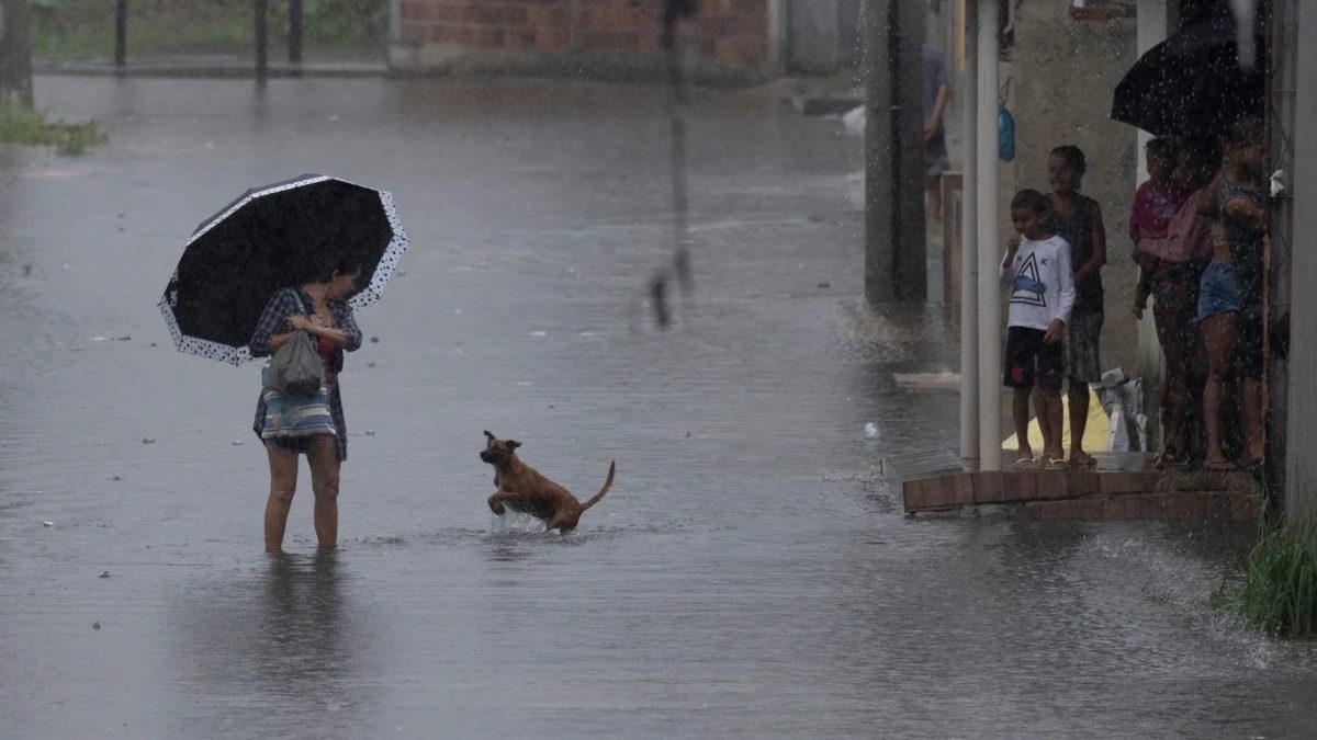 Sudeste e Centro-Oeste devem ter grande aumento da chuva