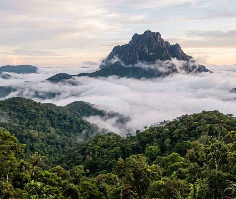 Parque nacional abriga o pico mais alto do Brasil e expedições guiadas