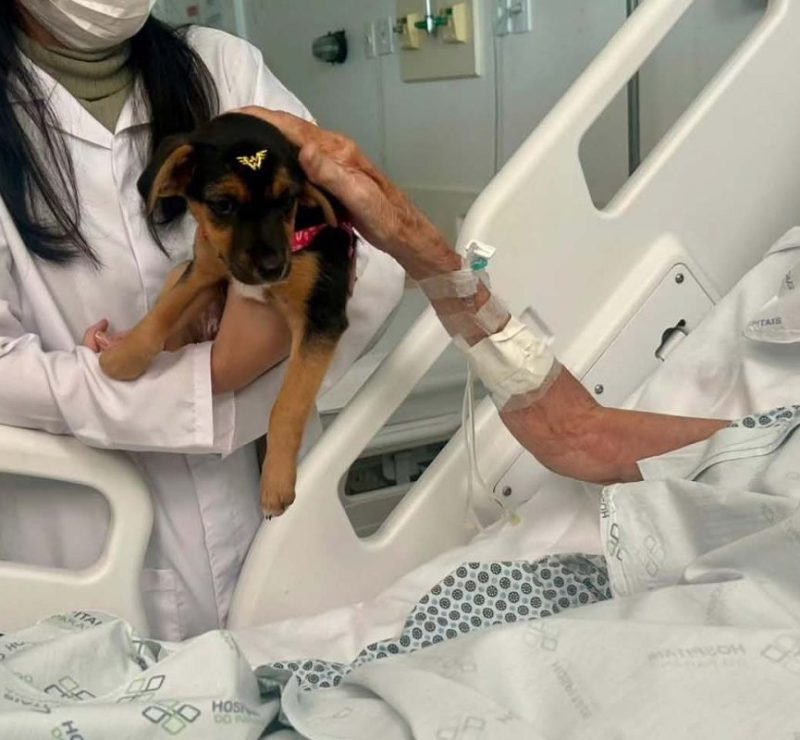 Cuidados paliativos: hospital de Londrina completa 10 anos