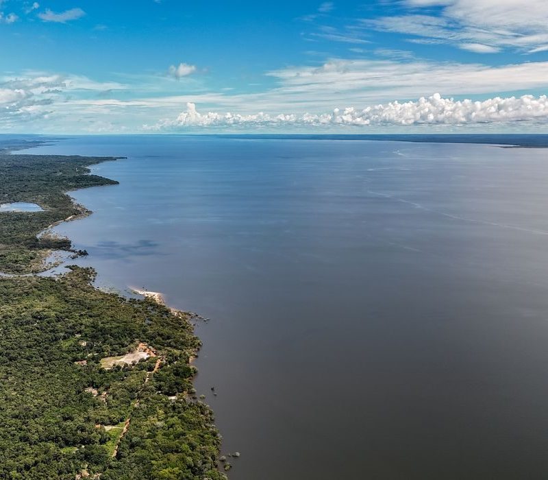 Planos de Lula e Flávio Bolsonaro para o meio ambiente e clima