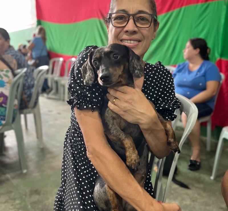 VetMóvel Paraná atende cerca de 300 pets em Antonina