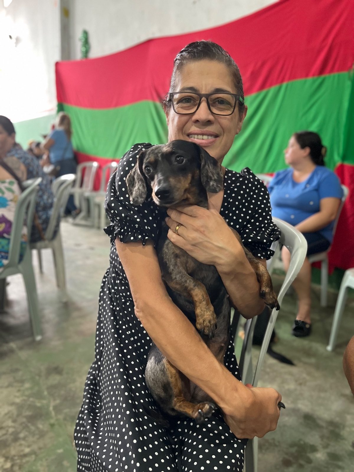 VetMÃ³vel ParanÃ¡ atende aproximadamente 300 Pets
