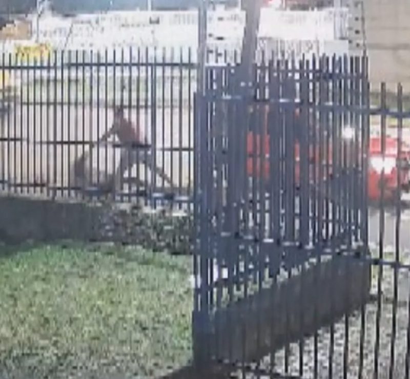 Passageira é agredida e jogada na calçada por motorista em Curitiba