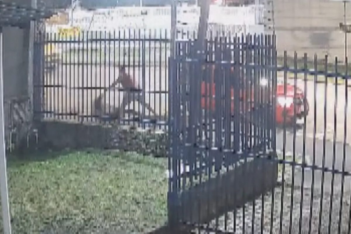 VÍDEO: passageira é puxada pelos cabelos e jogada na calçada por motorista de aplicativo em Curitiba