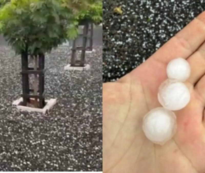 Temporal com granizo surpreende moradores e deixa quintais brancos no Paraná